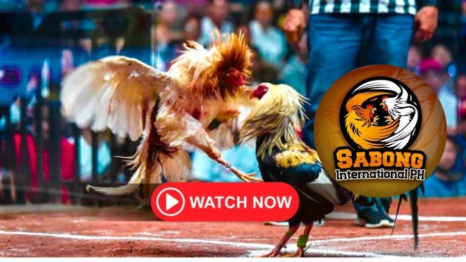 phpslot login how to bet sports in ohio